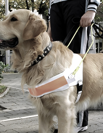 Durable Hardware Components for Pet Accessories