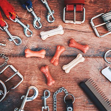 The New Trend in Pet Supplies: Non-Toxic, Eco-Friendly Metal Buckles for Safer Pet Accessories